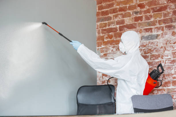 Best Forensic Mold Investigation  in Miamitown, OH