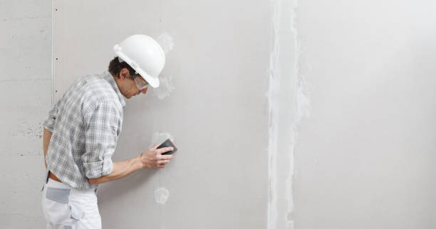Best Mold Odor Removal Services  in Miamitown, OH