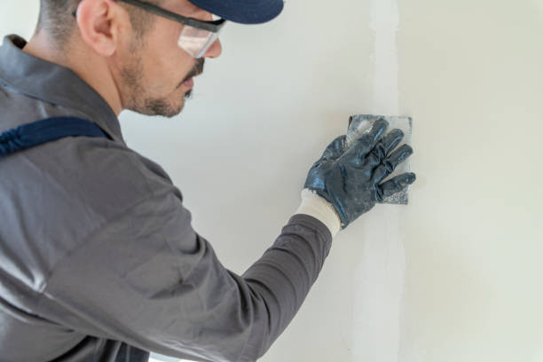 Best Attic Mold Removal  in Miamitown, OH