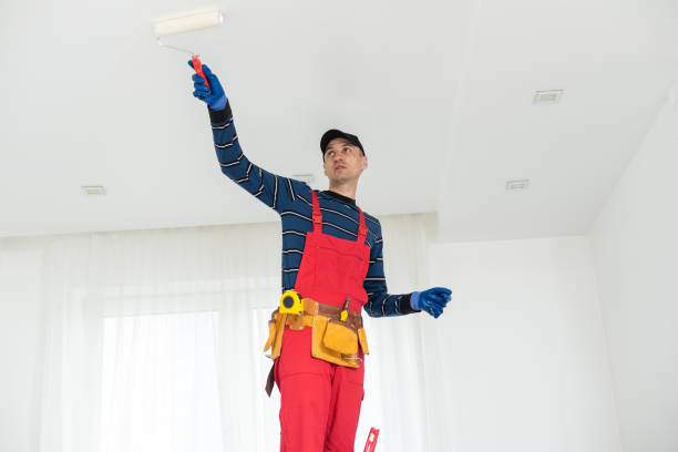 Best Dehumidification Services  in Miamitown, OH