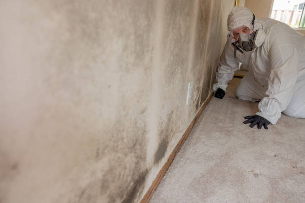 Best Comprehensive Air Testing for Mold Contaminants  in Miamitown, OH