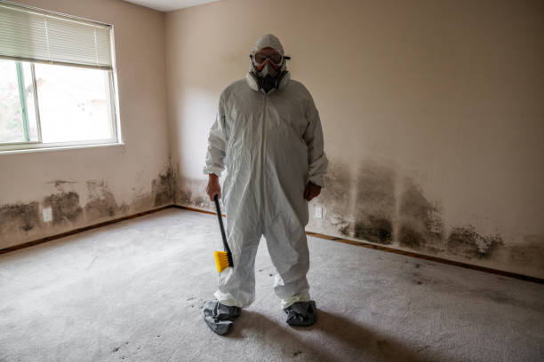 Best Asbestos and Lead Testing During Mold Inspection  in Miamitown, OH