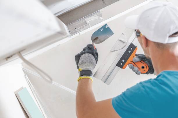 Best Mold Documentation for Insurance Claims  in Miamitown, OH